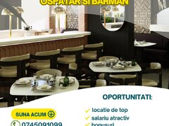 Ospatar, barman