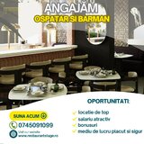 Ospatar, barman